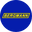 BERGMANN logo